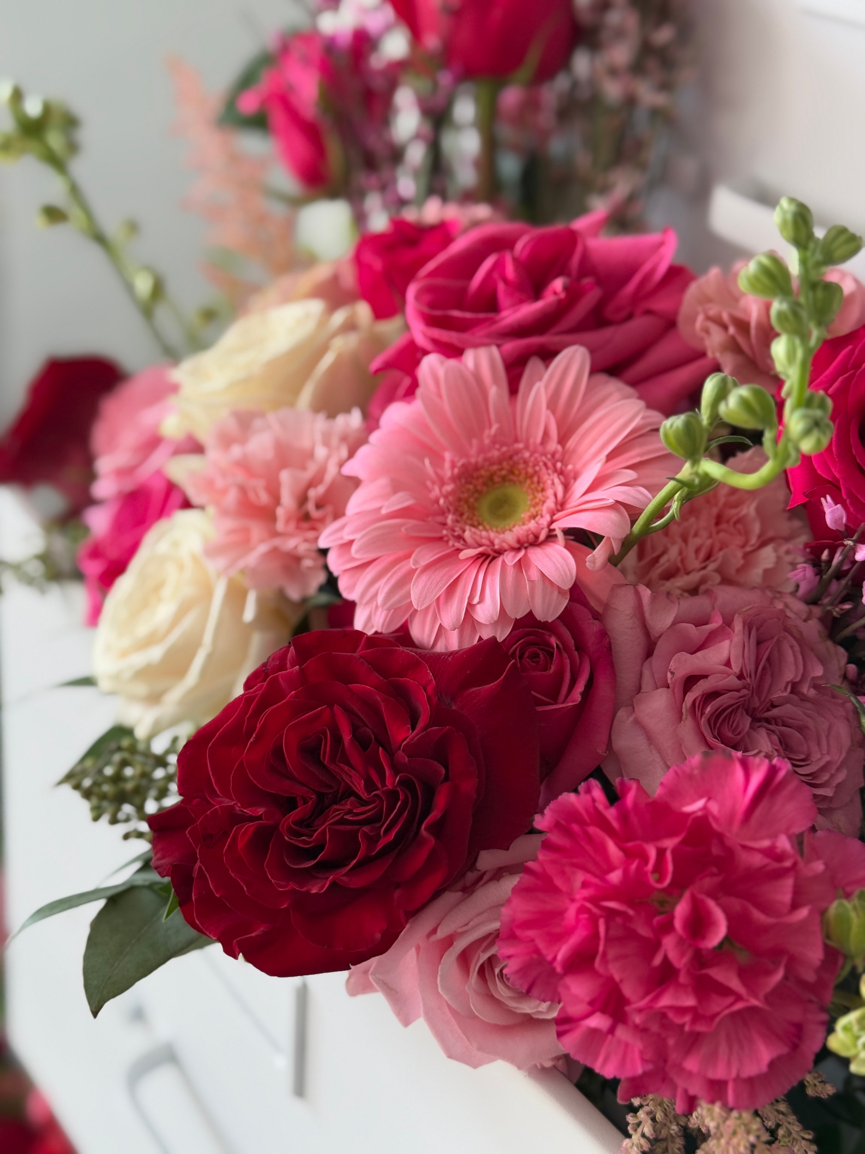 Vibrant quinceañera arrangement featuring pink gerberas, deep red garden roses, hot pink carnations, and cream roses